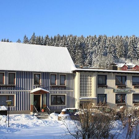Haus Gruene Insel - Ferienwohnungen ألتيناو المظهر الخارجي الصورة