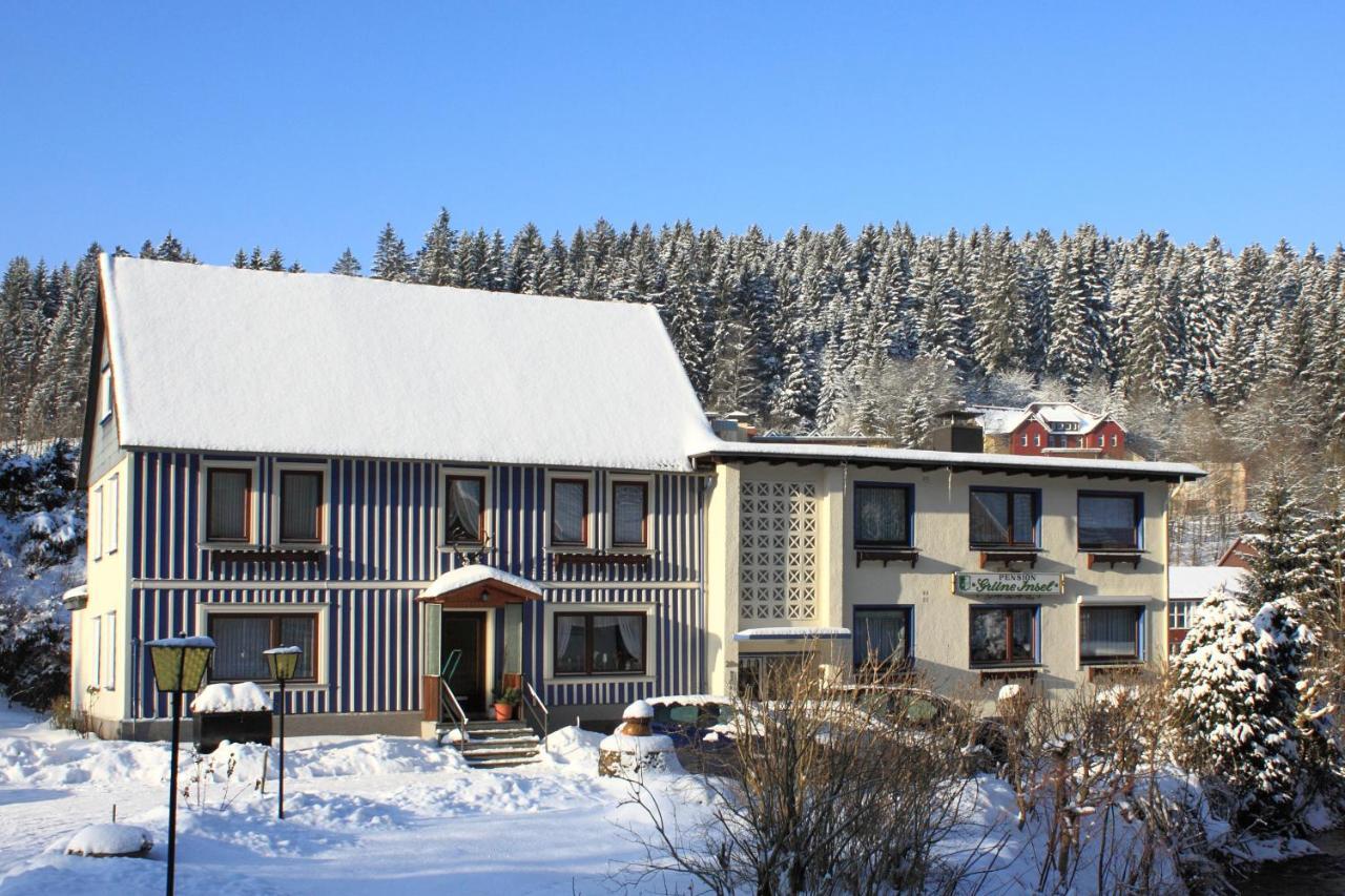 Haus Gruene Insel - Ferienwohnungen ألتيناو المظهر الخارجي الصورة