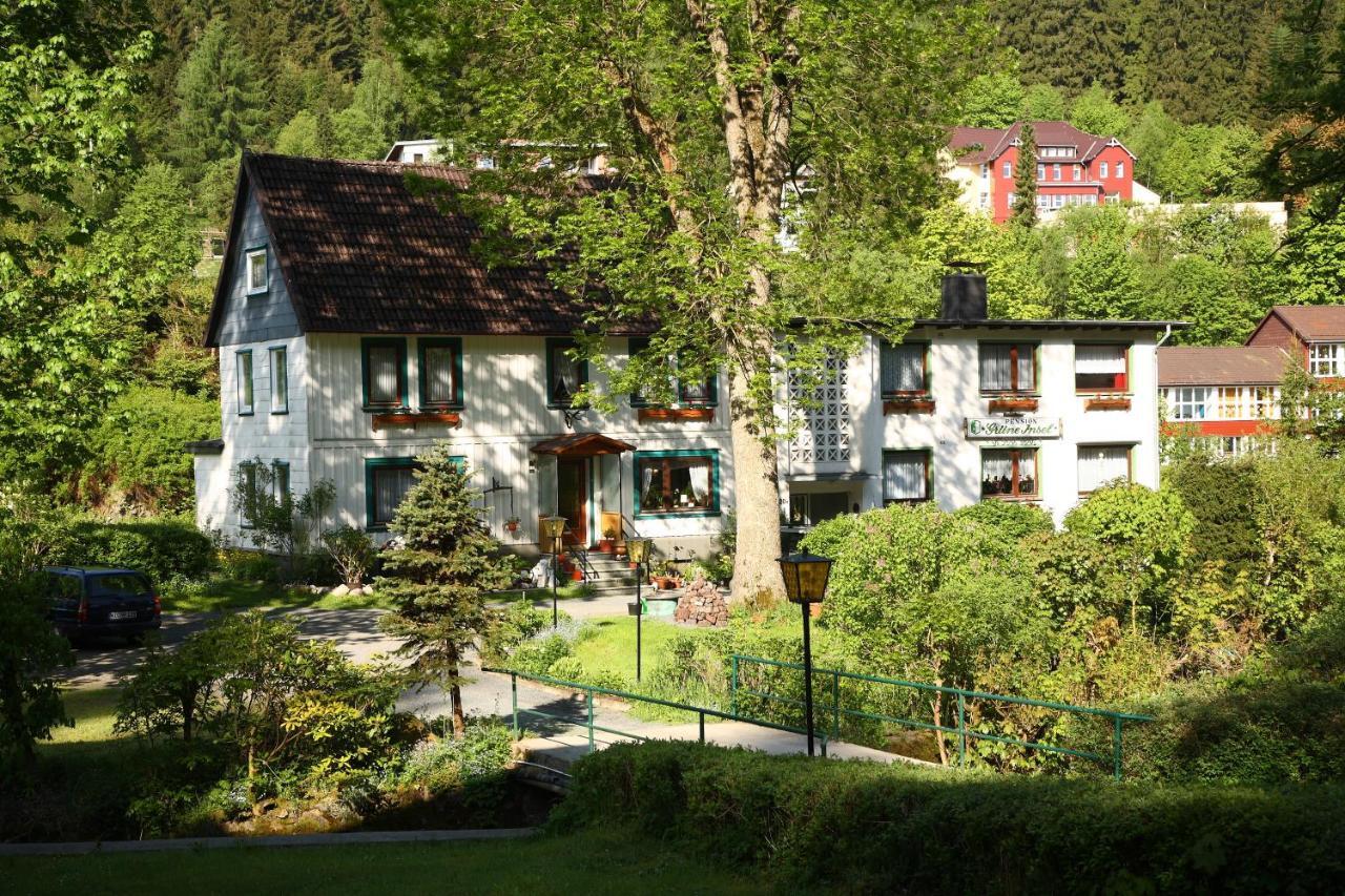 Haus Gruene Insel - Ferienwohnungen ألتيناو المظهر الخارجي الصورة