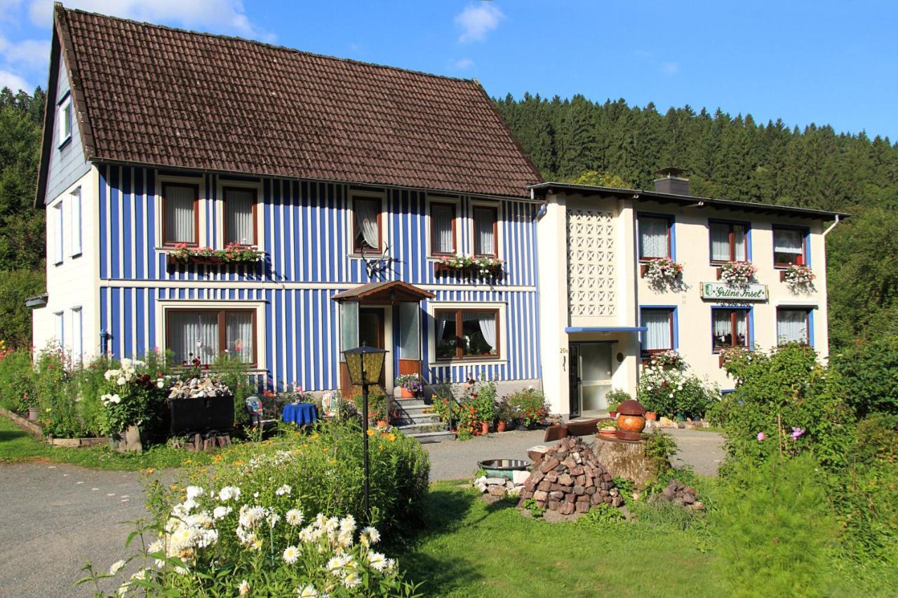 Haus Gruene Insel - Ferienwohnungen ألتيناو المظهر الخارجي الصورة