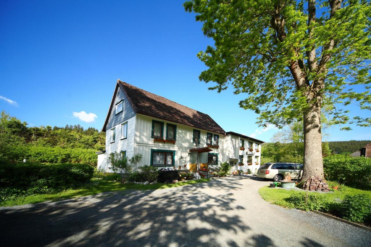Haus Gruene Insel - Ferienwohnungen ألتيناو المظهر الخارجي الصورة