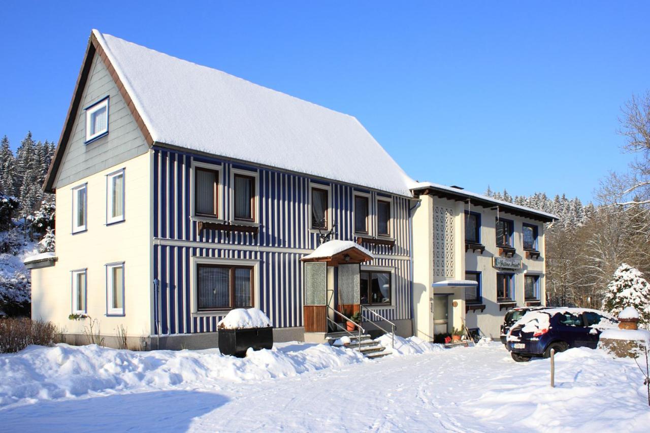 Haus Gruene Insel - Ferienwohnungen ألتيناو المظهر الخارجي الصورة